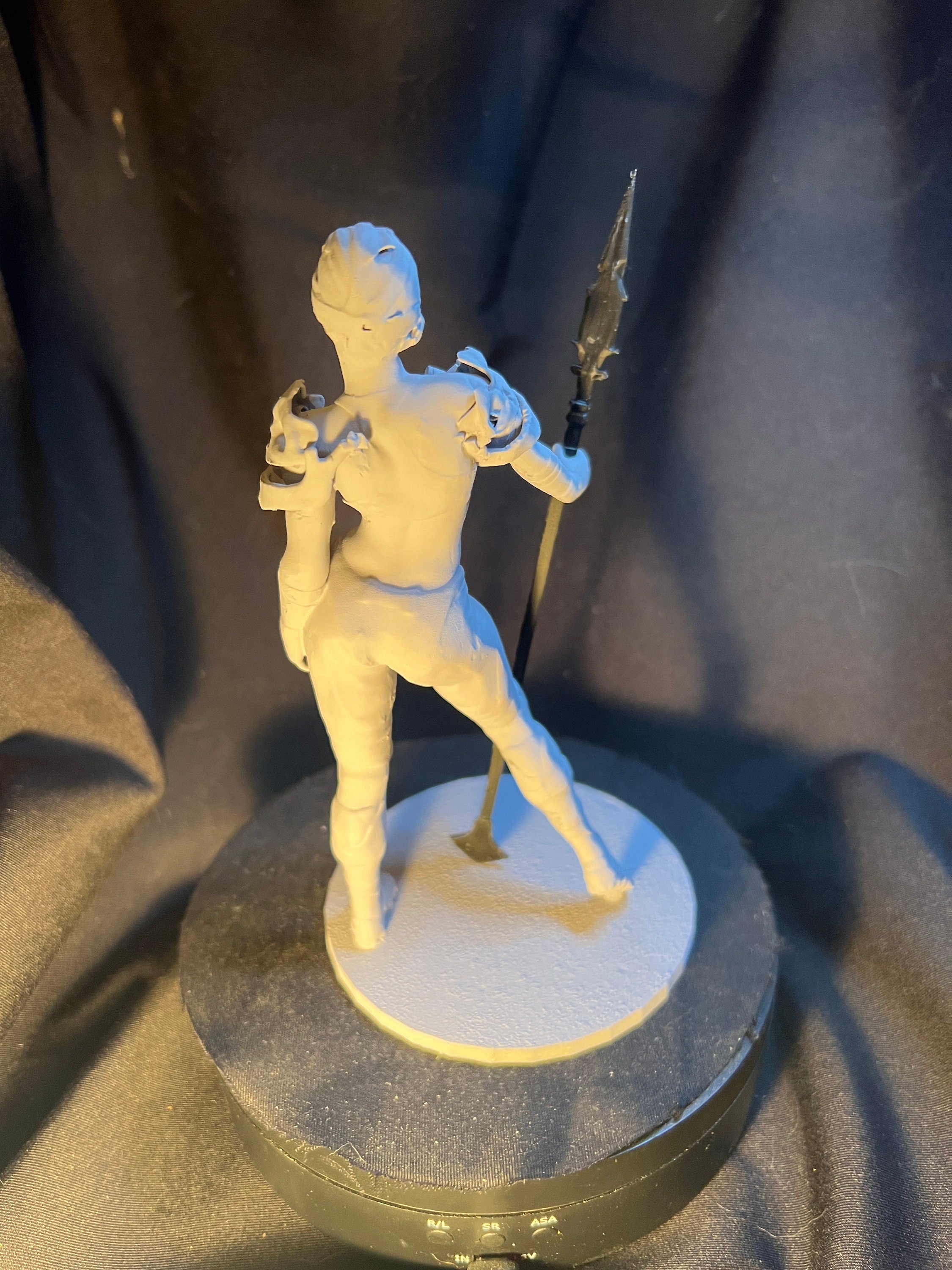 Spear-Wielding Woman with Armor