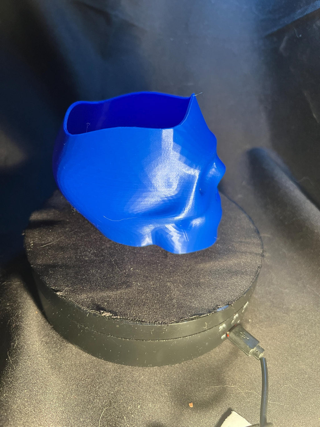 Skull Pencil Holder