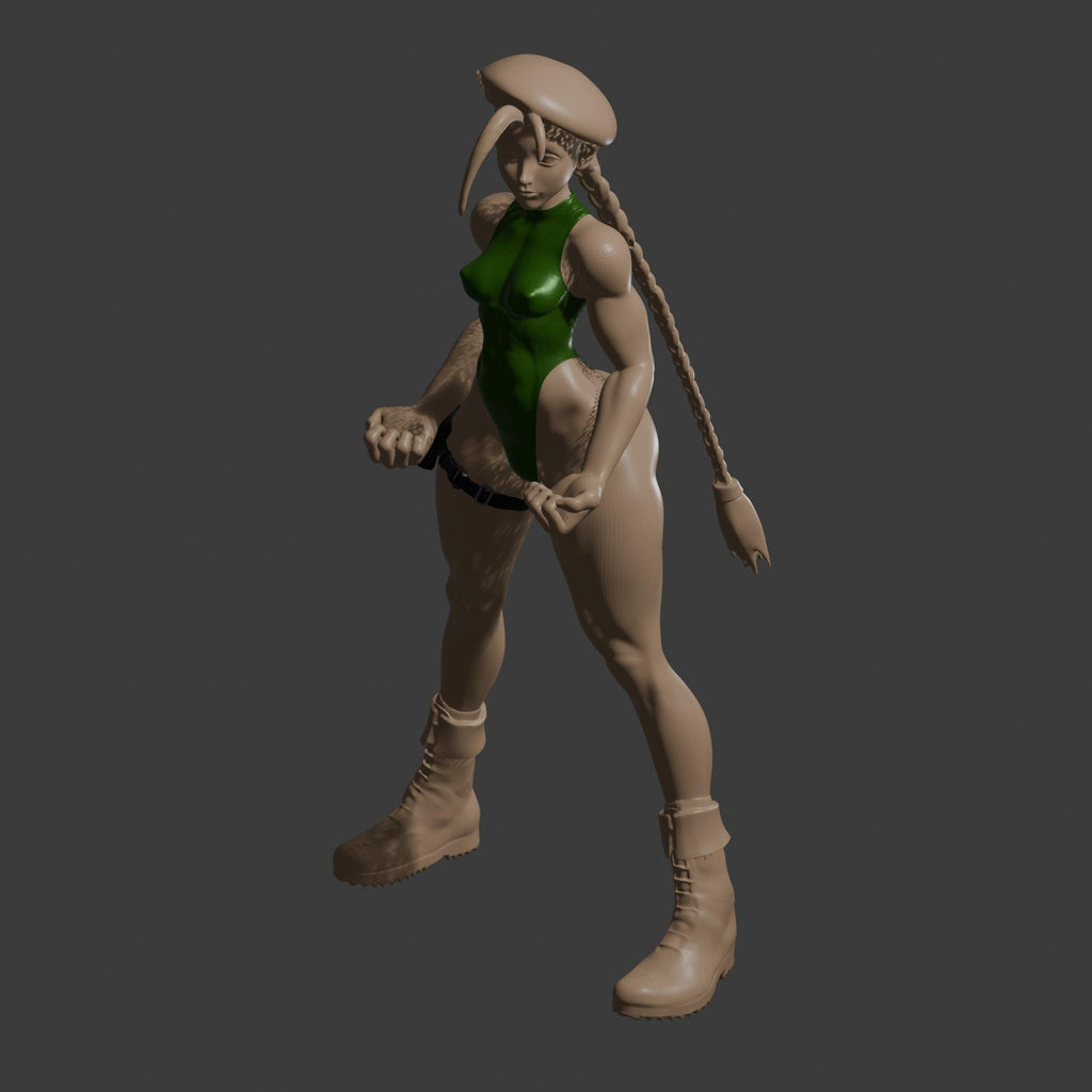 Cammy Sexy Fighting Girl / Street Fighter Woman Figure