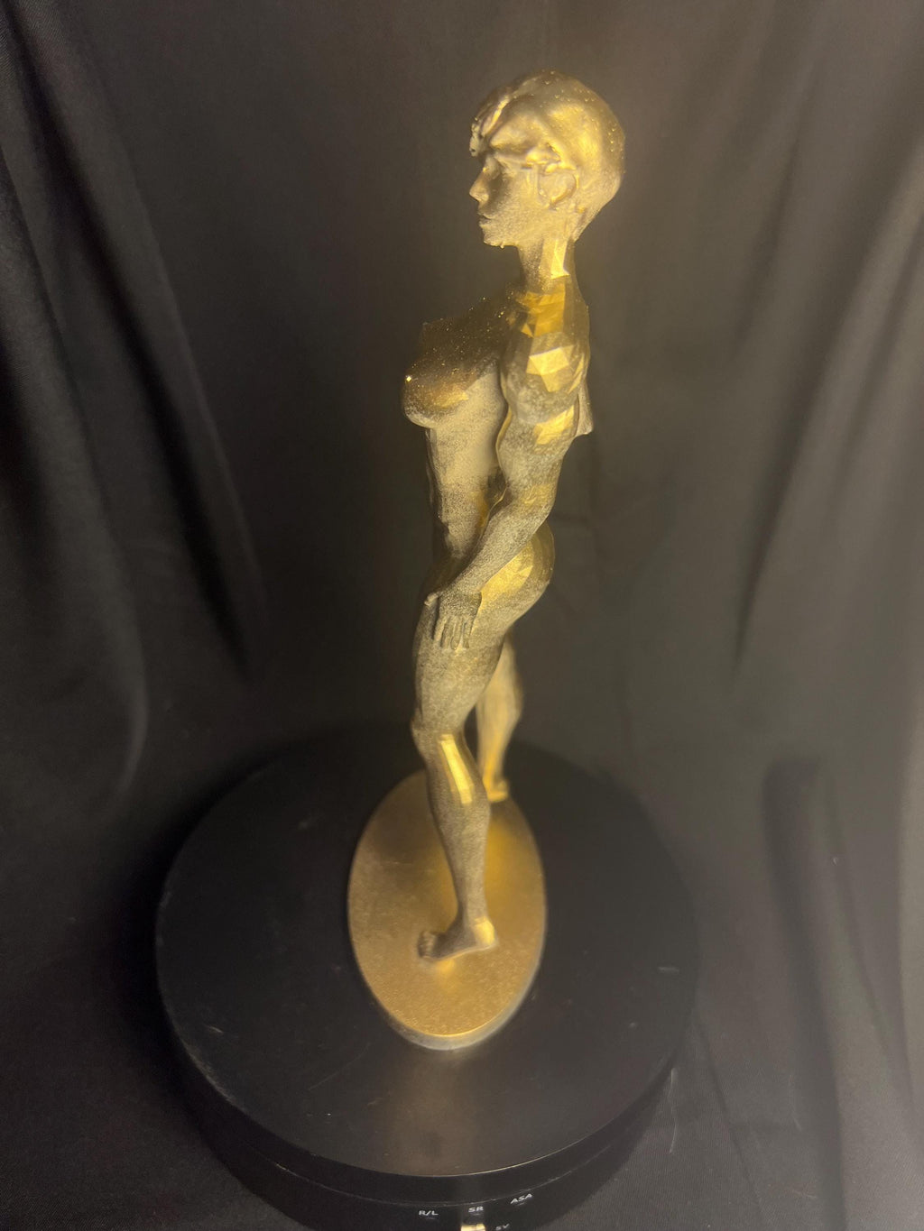 Sexy Muscular Woman / Fit Nude Female Figure