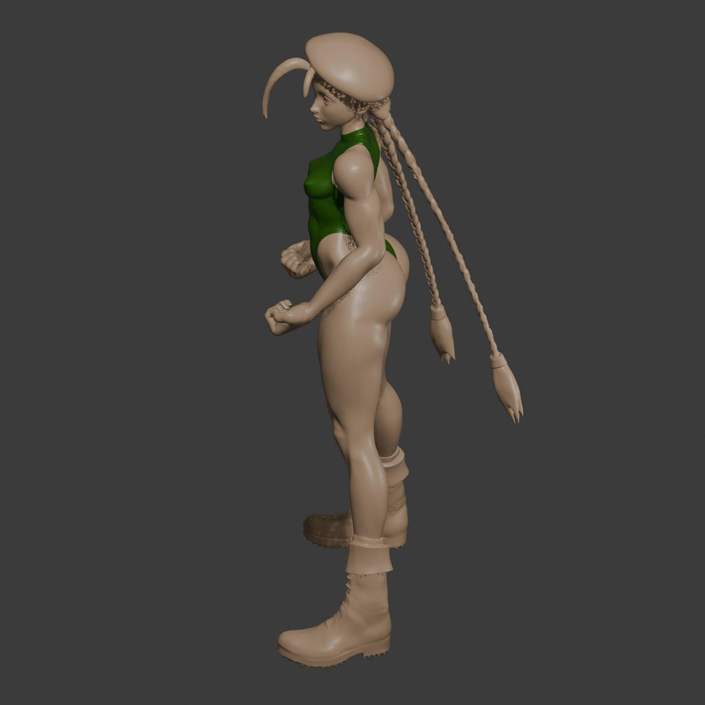 Cammy Sexy Fighting Girl / Street Fighter Woman Figure