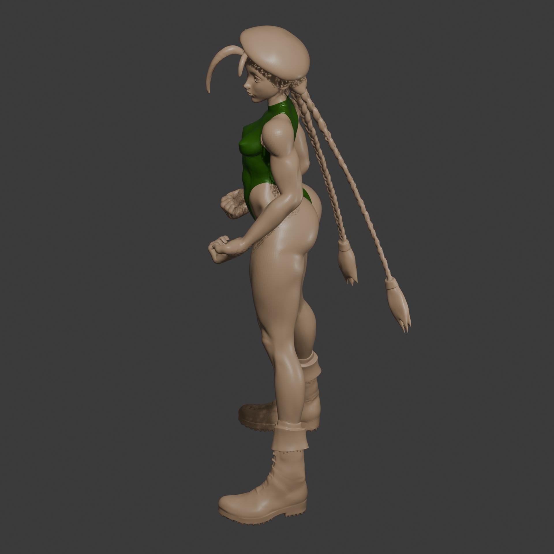 Cammy Sexy Fighting Girl / Street Fighter Woman Figure