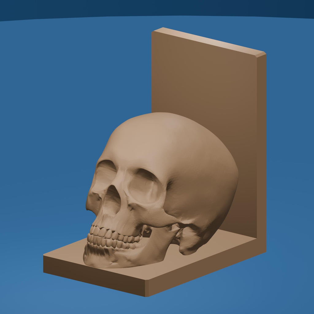 Golden Skull Bookend – Gothic Decorative Shelf Piece