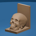 Golden Skull Bookend – Gothic Decorative Shelf Piece