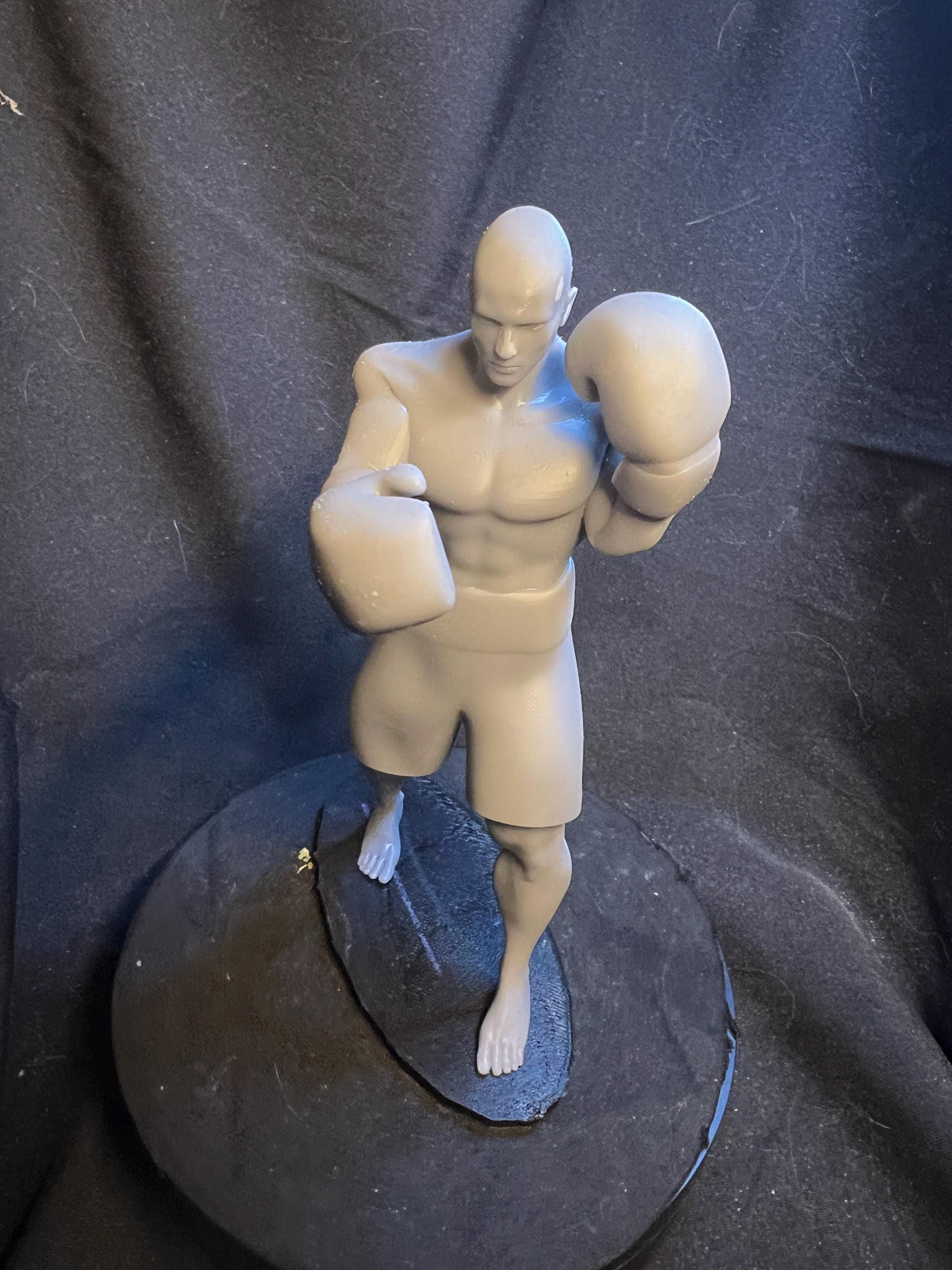 Male Boxer 6.5 inches / 170 mm tall