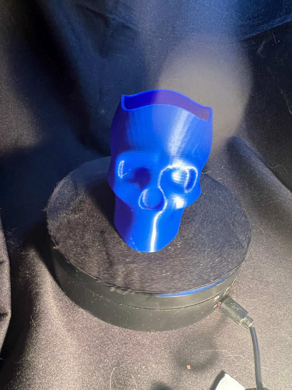 Skull Pencil Holder
