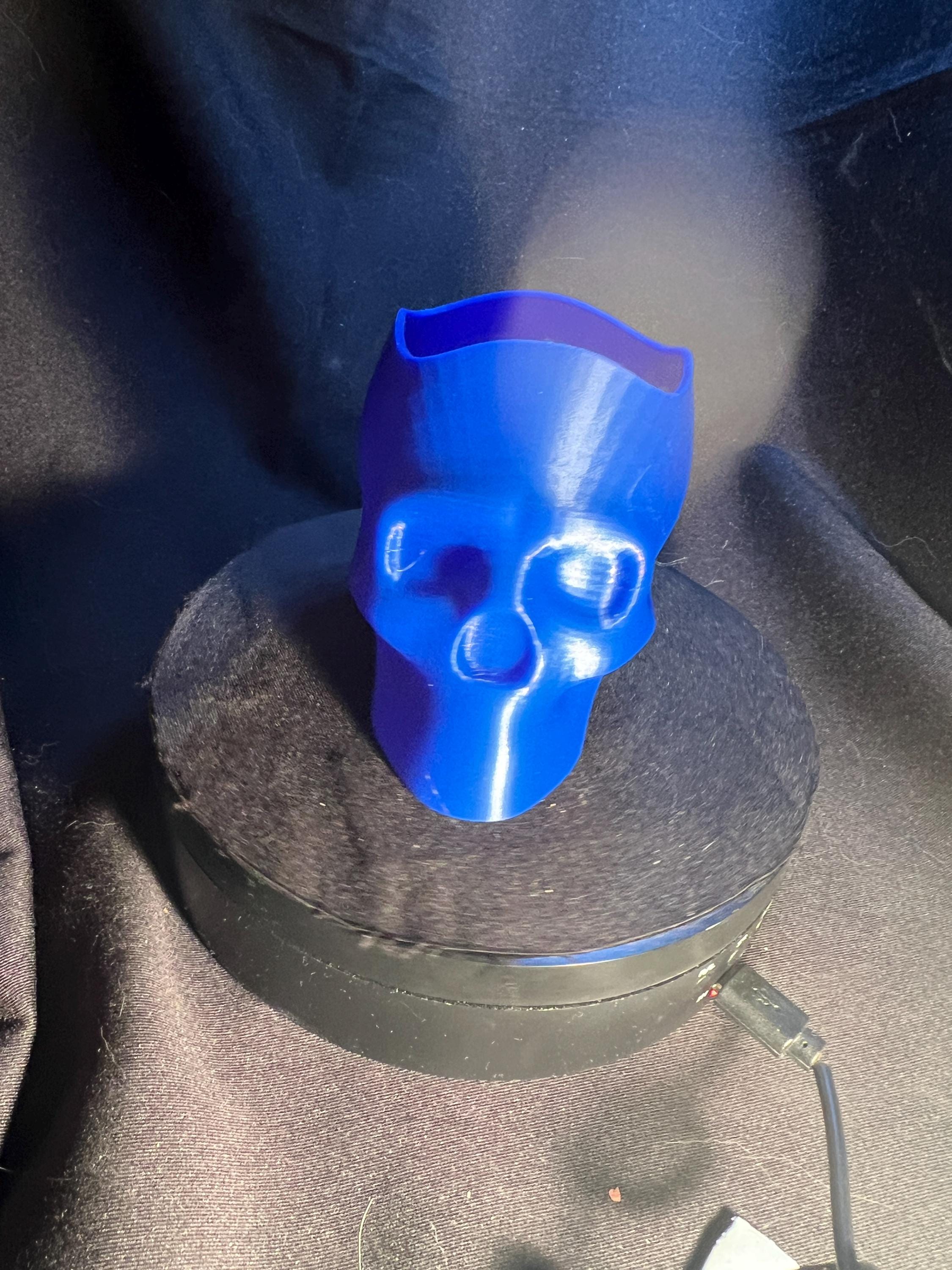 Skull Pencil Holder