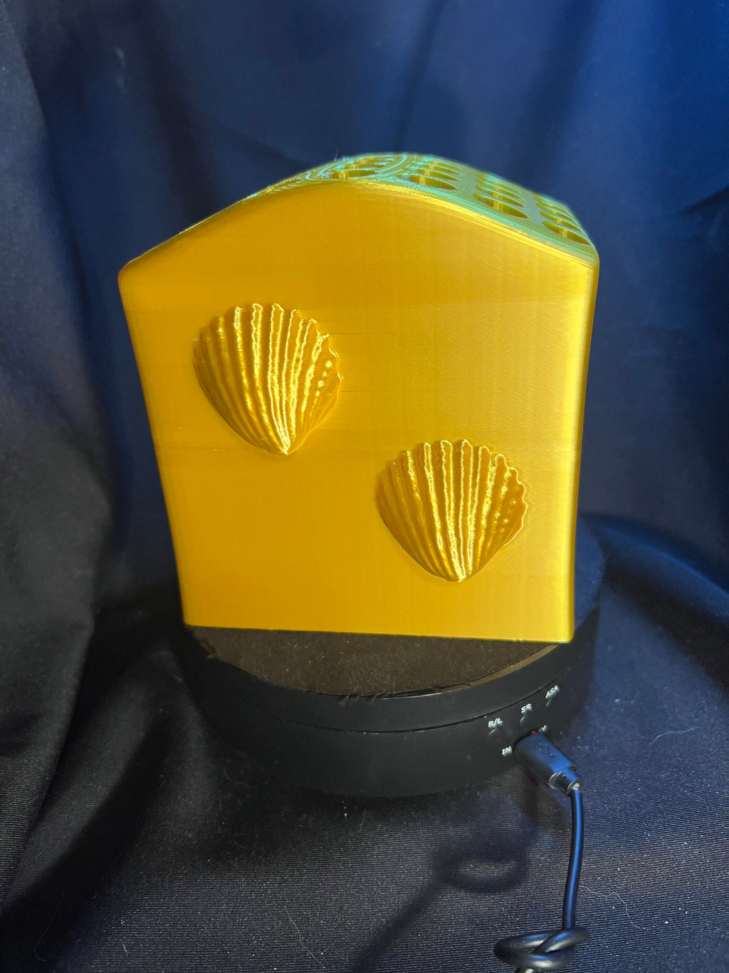Seashell Pencil and Brush Holder