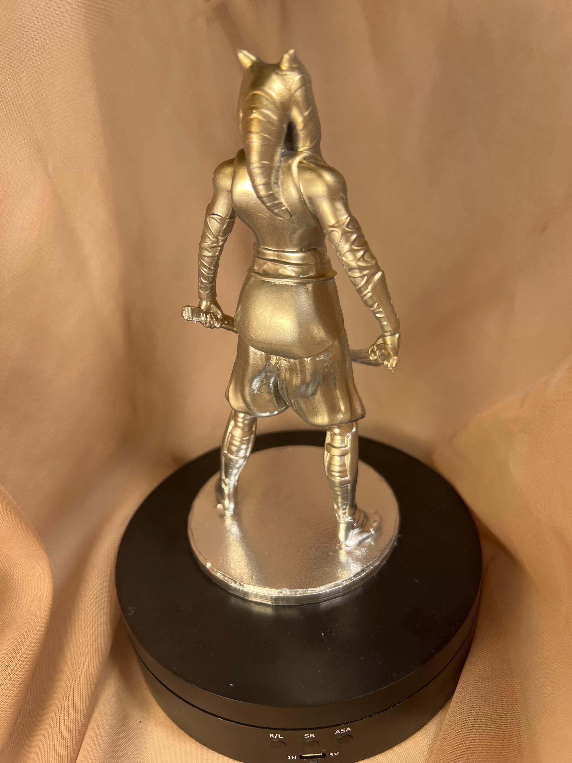 Space Warrior Woman / Fighting Adult Ahsoka Figure