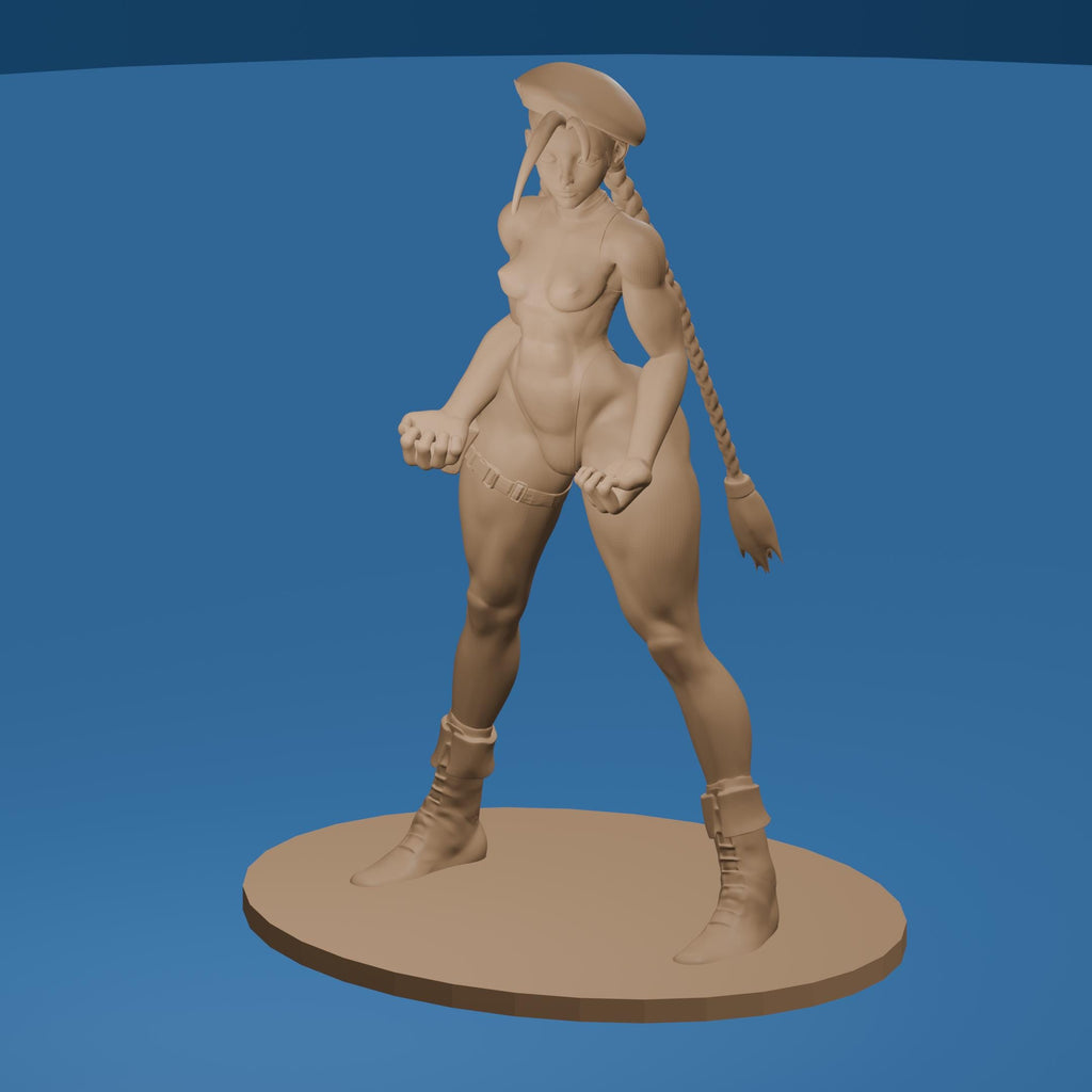 Cammy Sexy Fighting Girl / Street Fighter Woman Figure