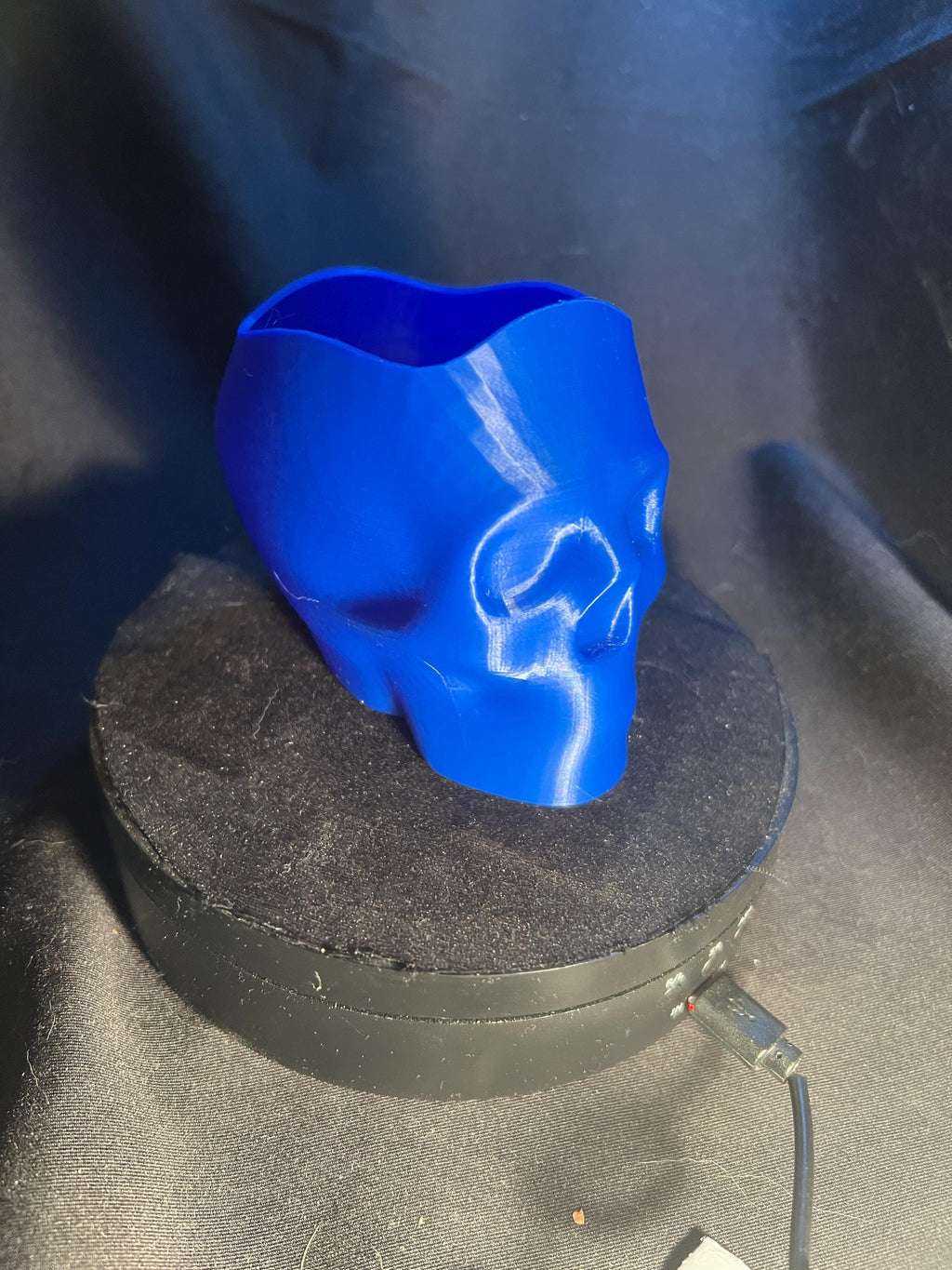 Skull Pencil Holder