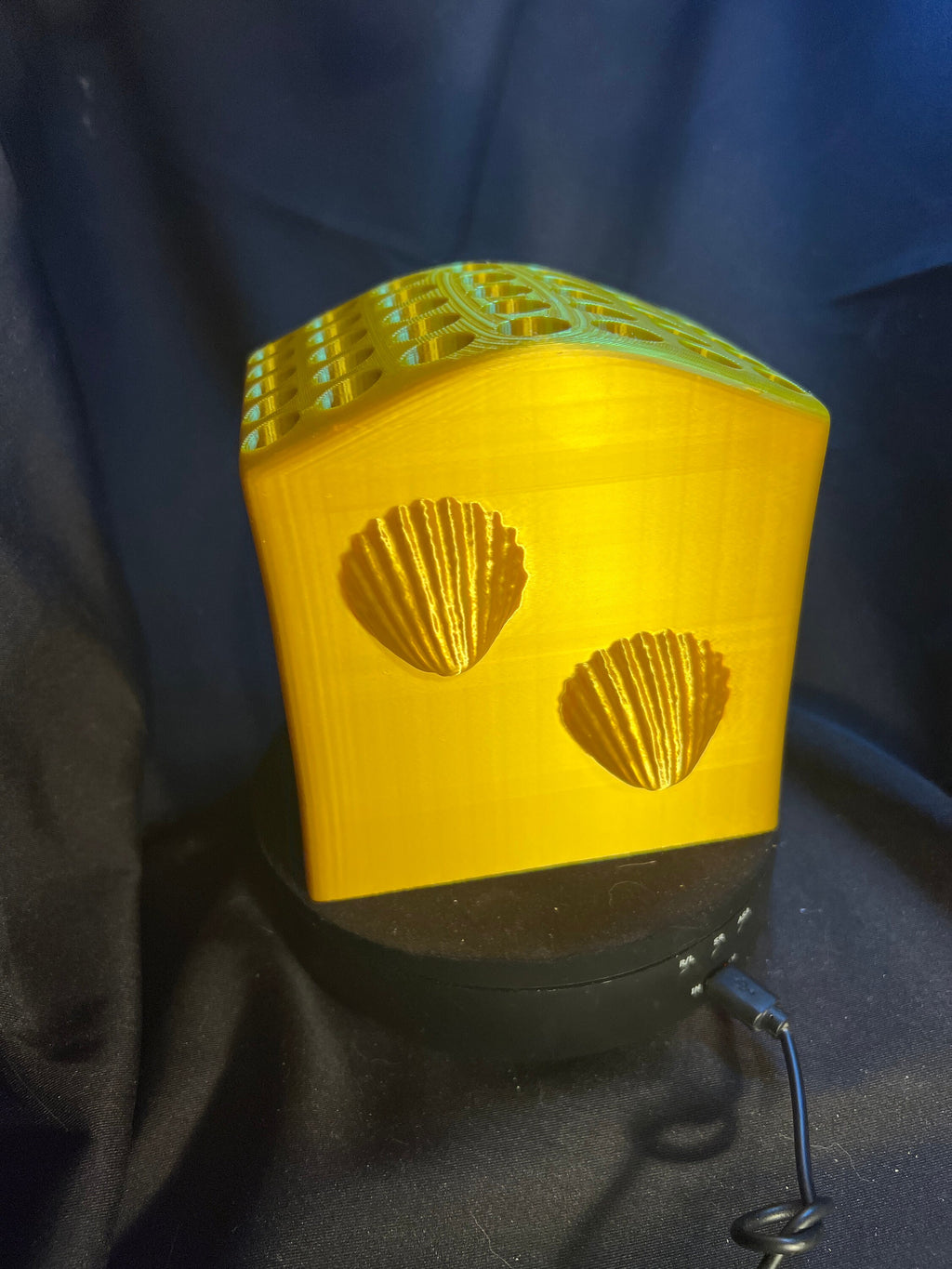 Seashell Pencil and Brush Holder