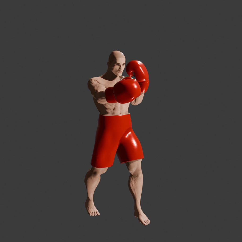 Male Boxer 6.5 inches / 170 mm tall