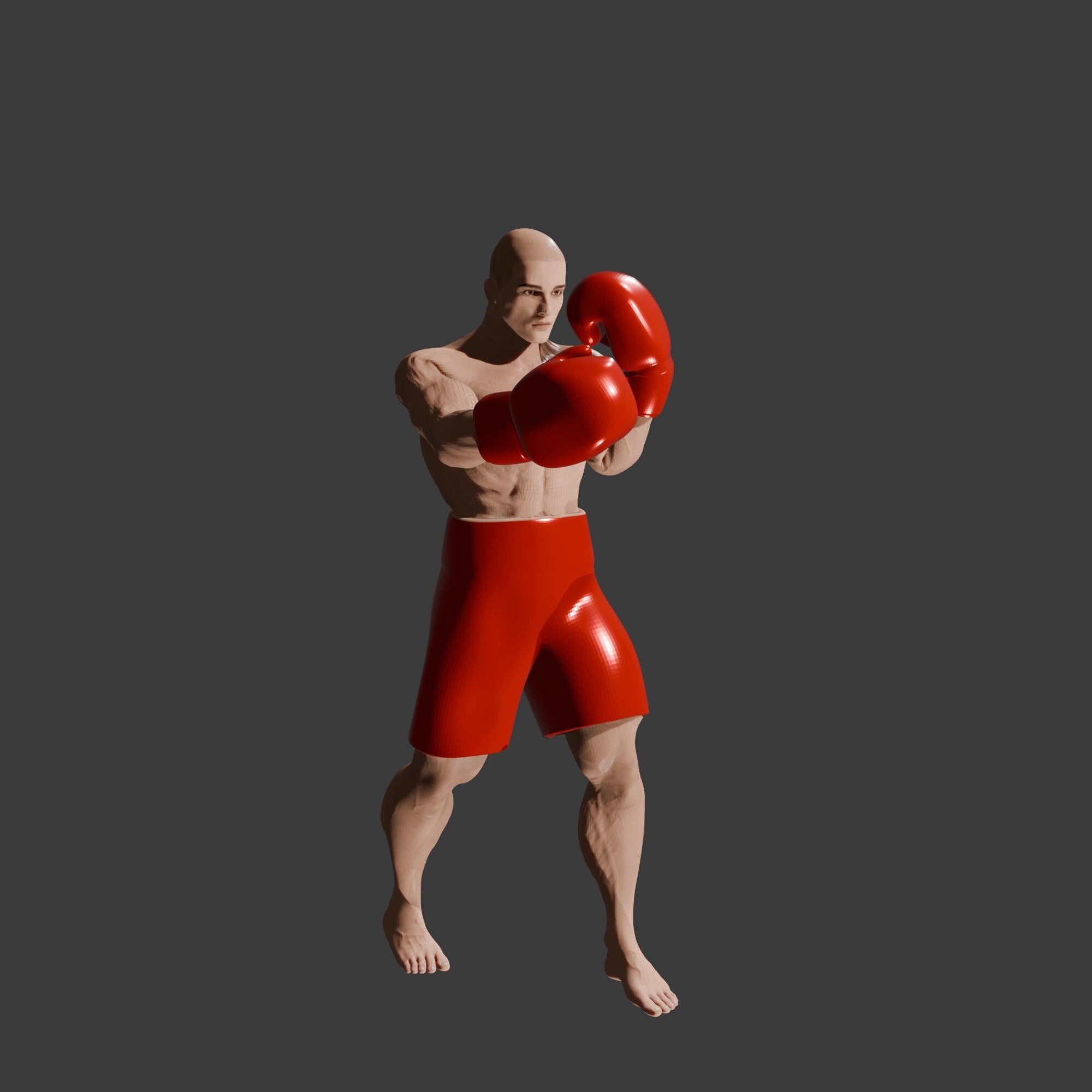 Male Boxer 6.5 inches / 170 mm tall