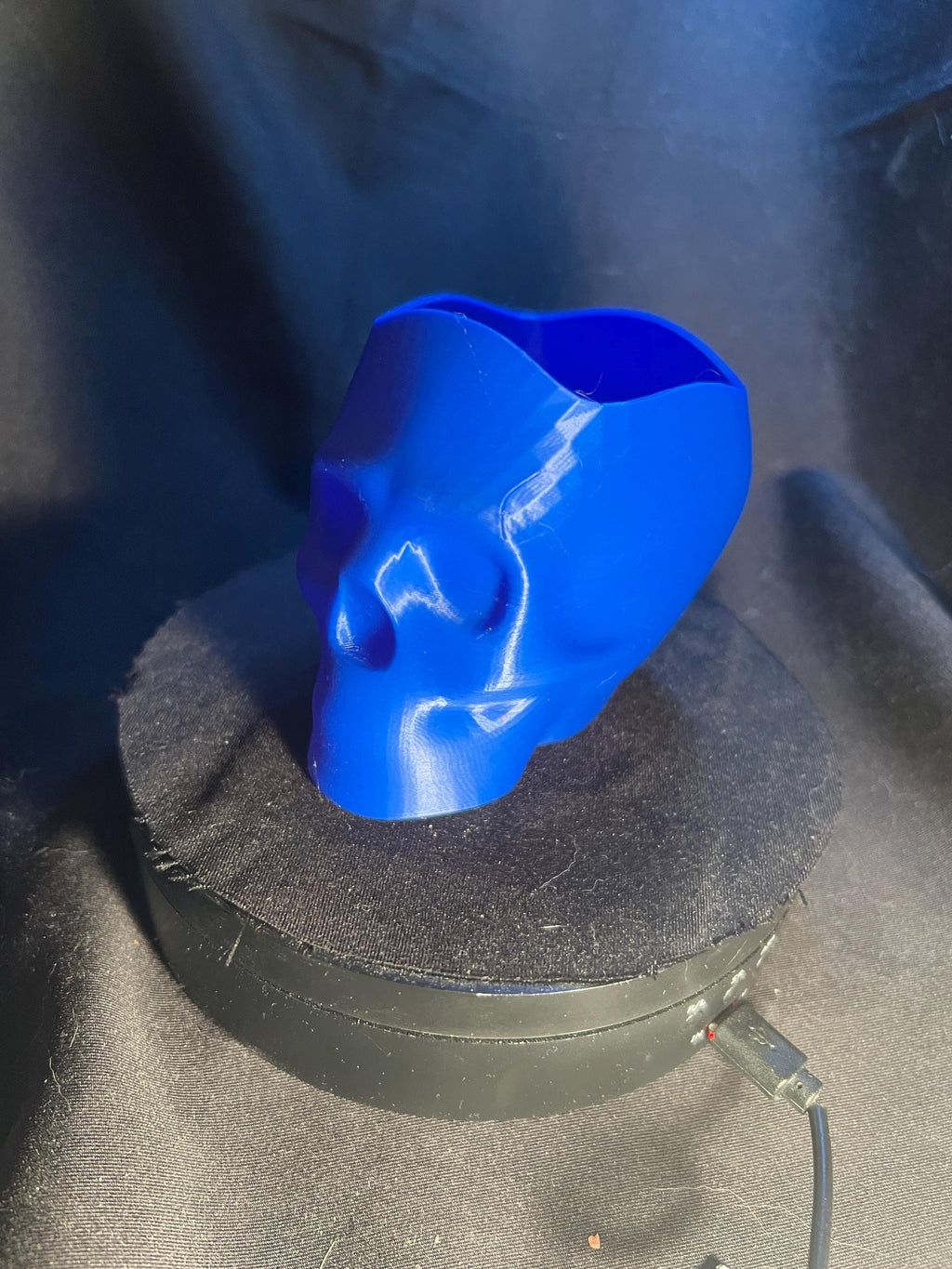 Skull Pencil Holder