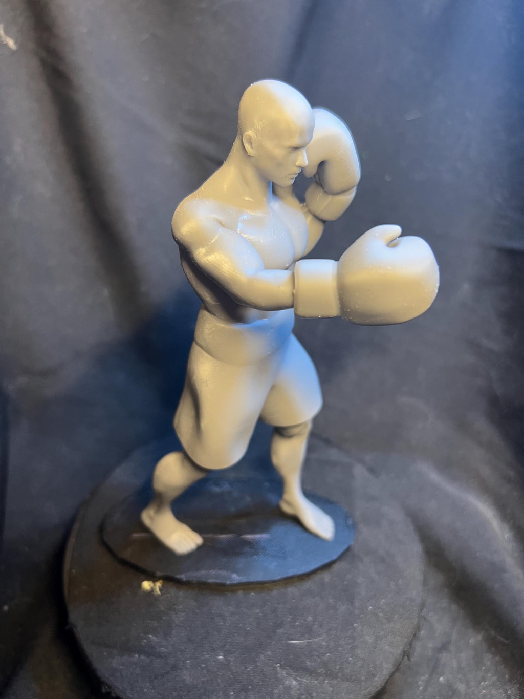 Male Boxer 6.5 inches / 170 mm tall