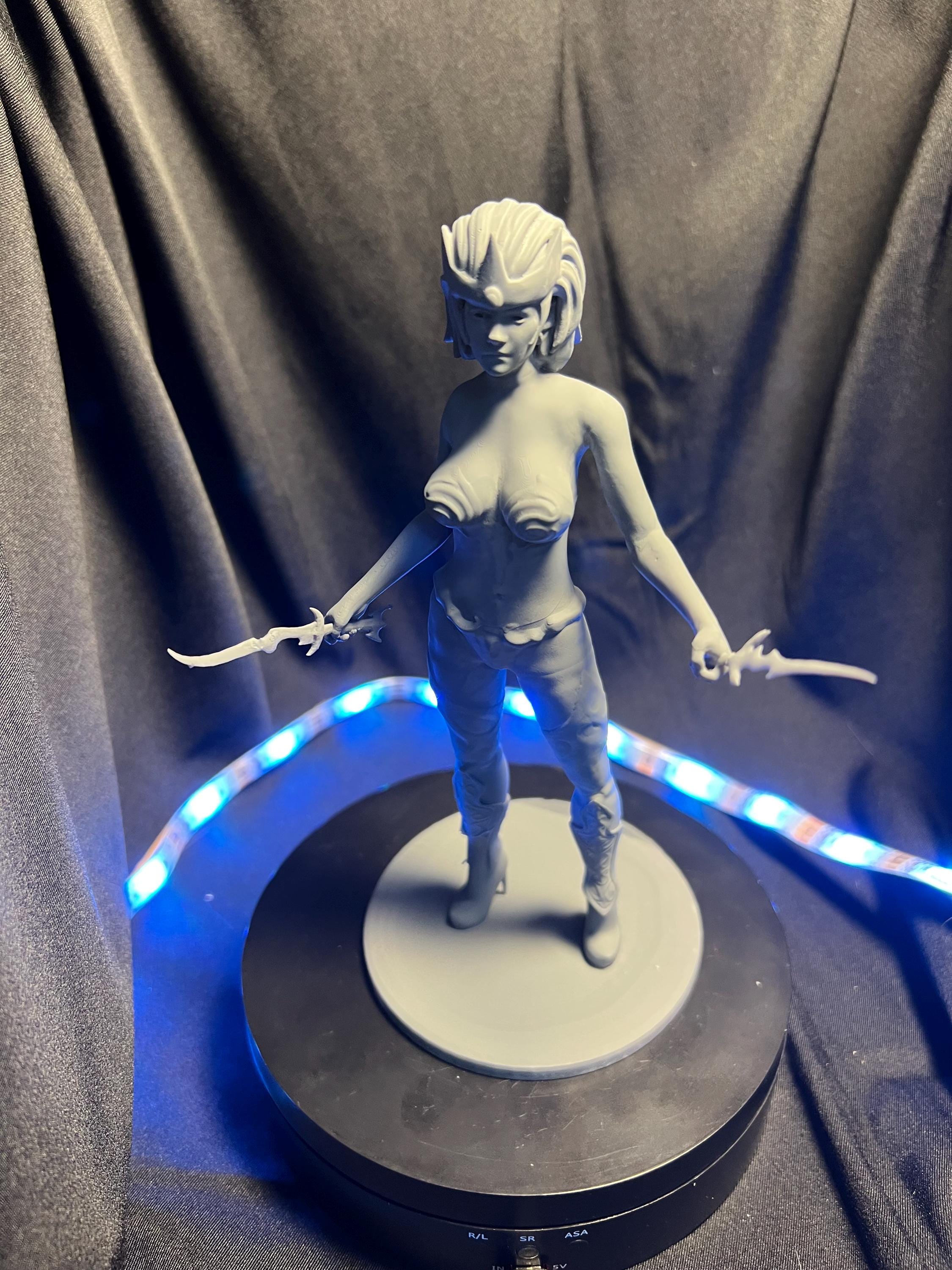 Dual Wielding Elf Rogue Figure