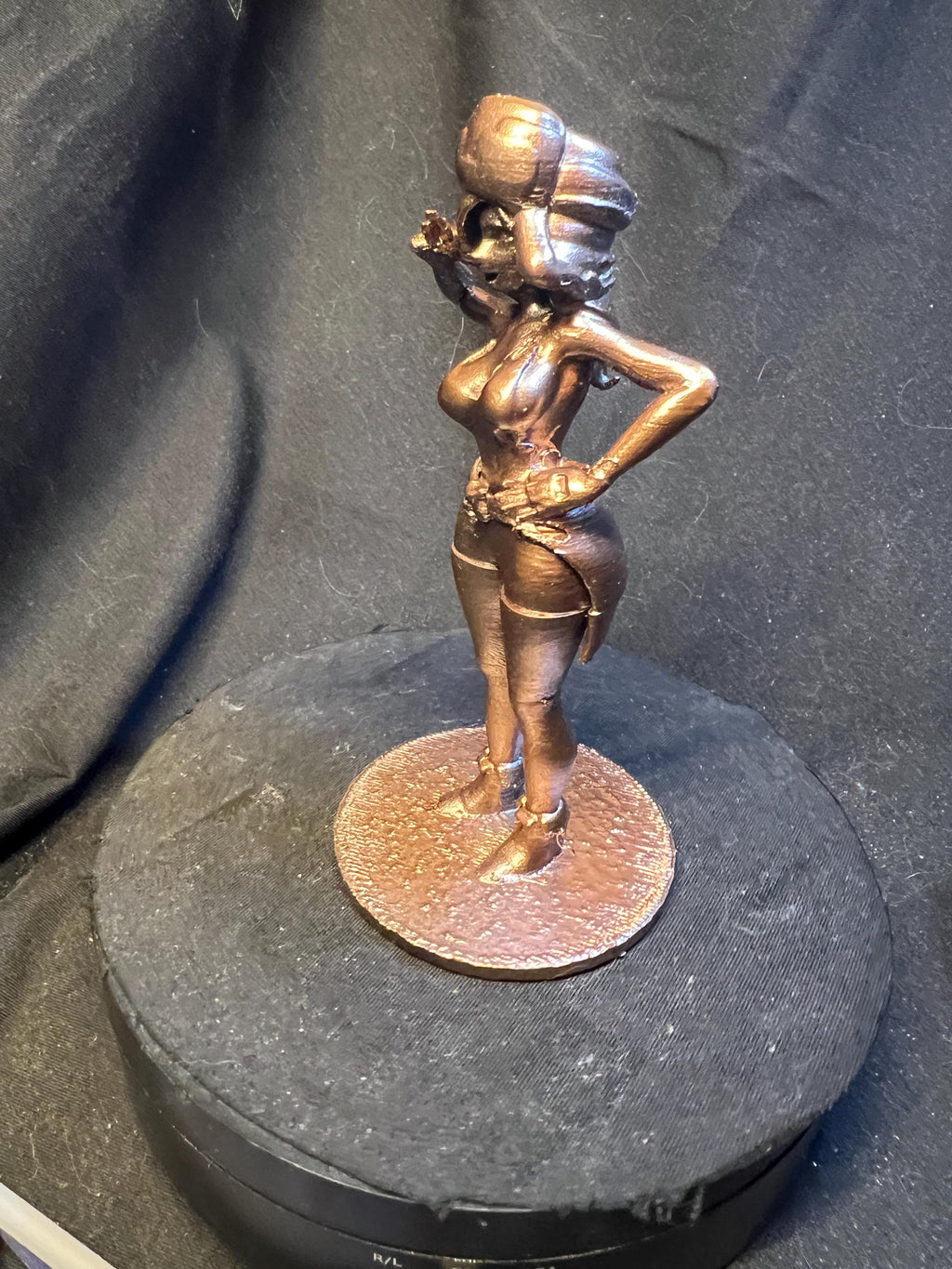 Sexy Cartoon Girl from the Northwest USA